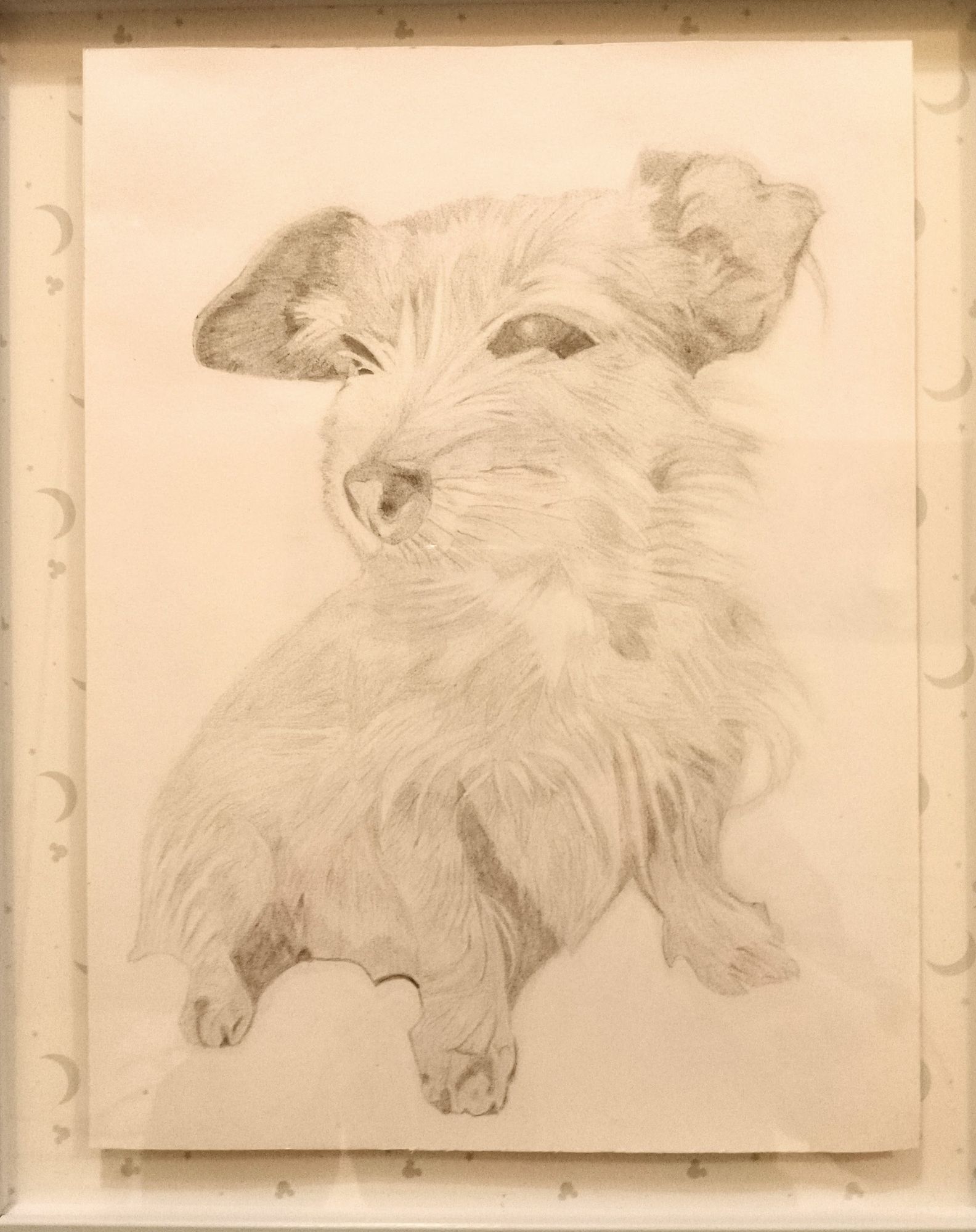 The ocean is a peaceful view though it's also big waves sometimes