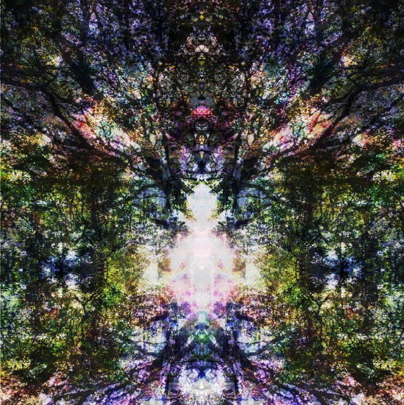 Mirrored crystal cat