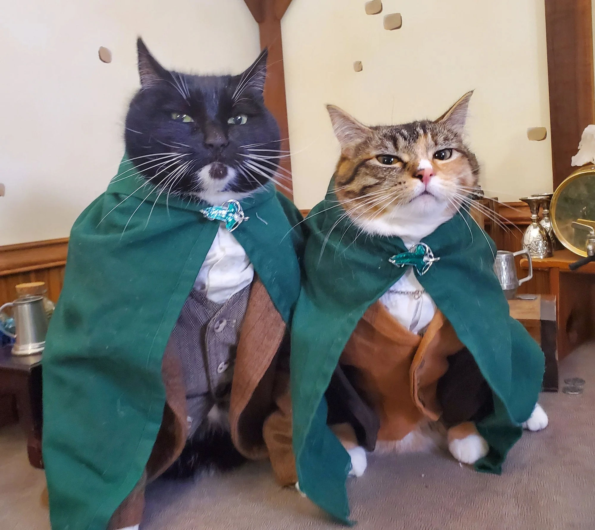 Two brave little hobbits 