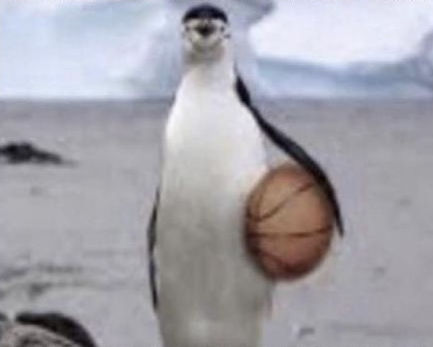 No