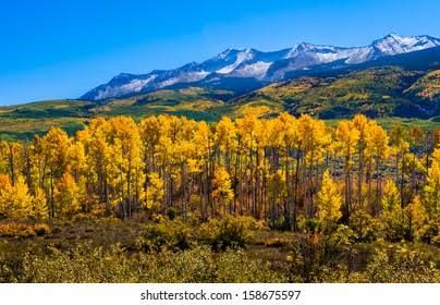 Mountain cliffs, Lake, flowers, trees