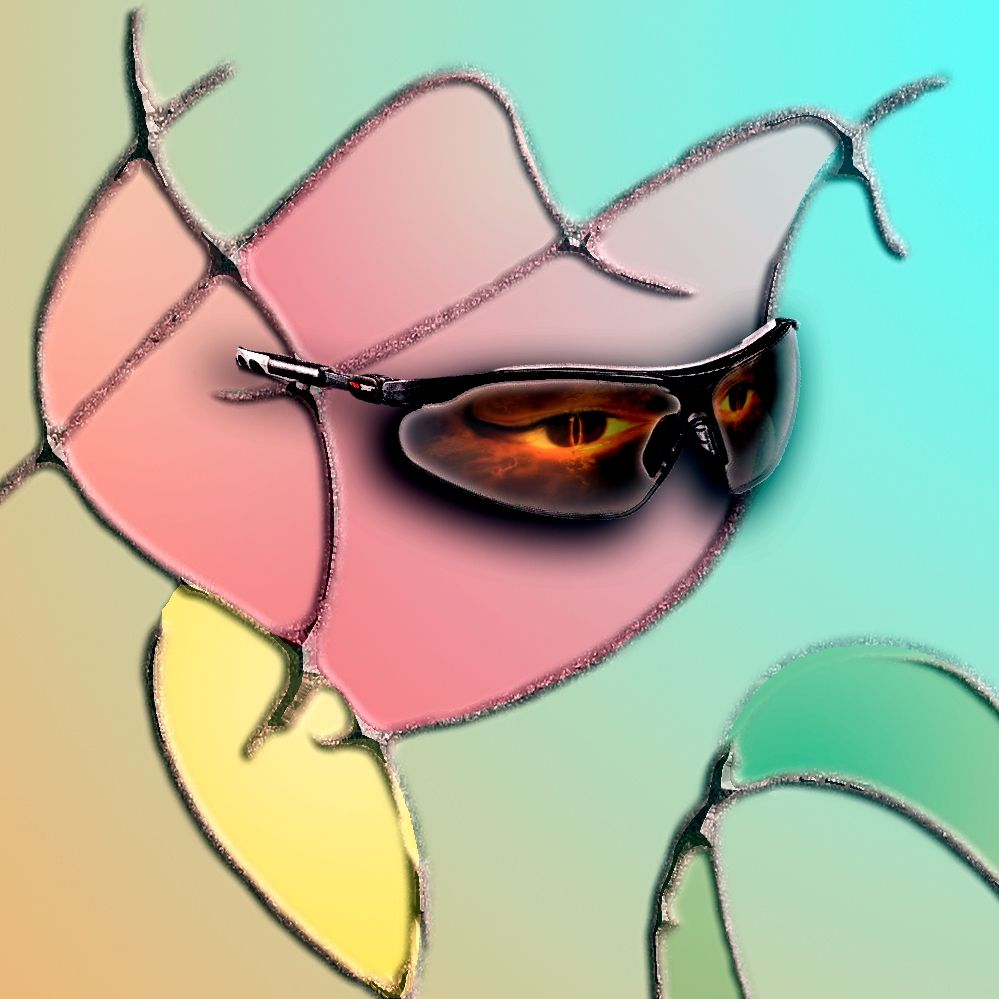 Multifarious aspects of reality