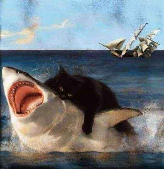 eles sabem onde eu moro da silva