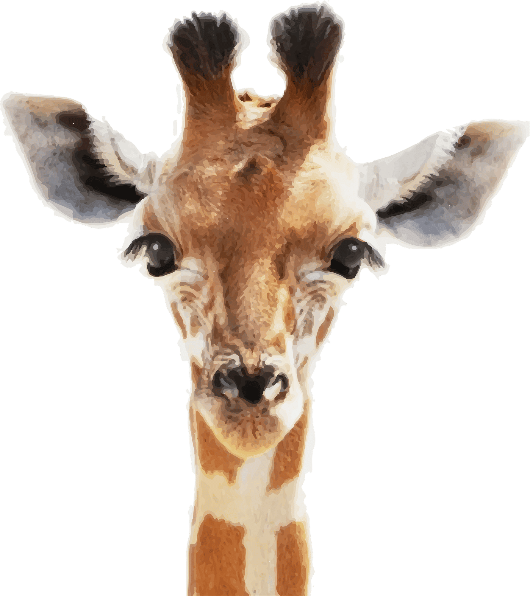 LITTLE GIRAFE, ART, CUTE, DROLE, POINILISM, LIGNE