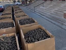 walking in the moonlight