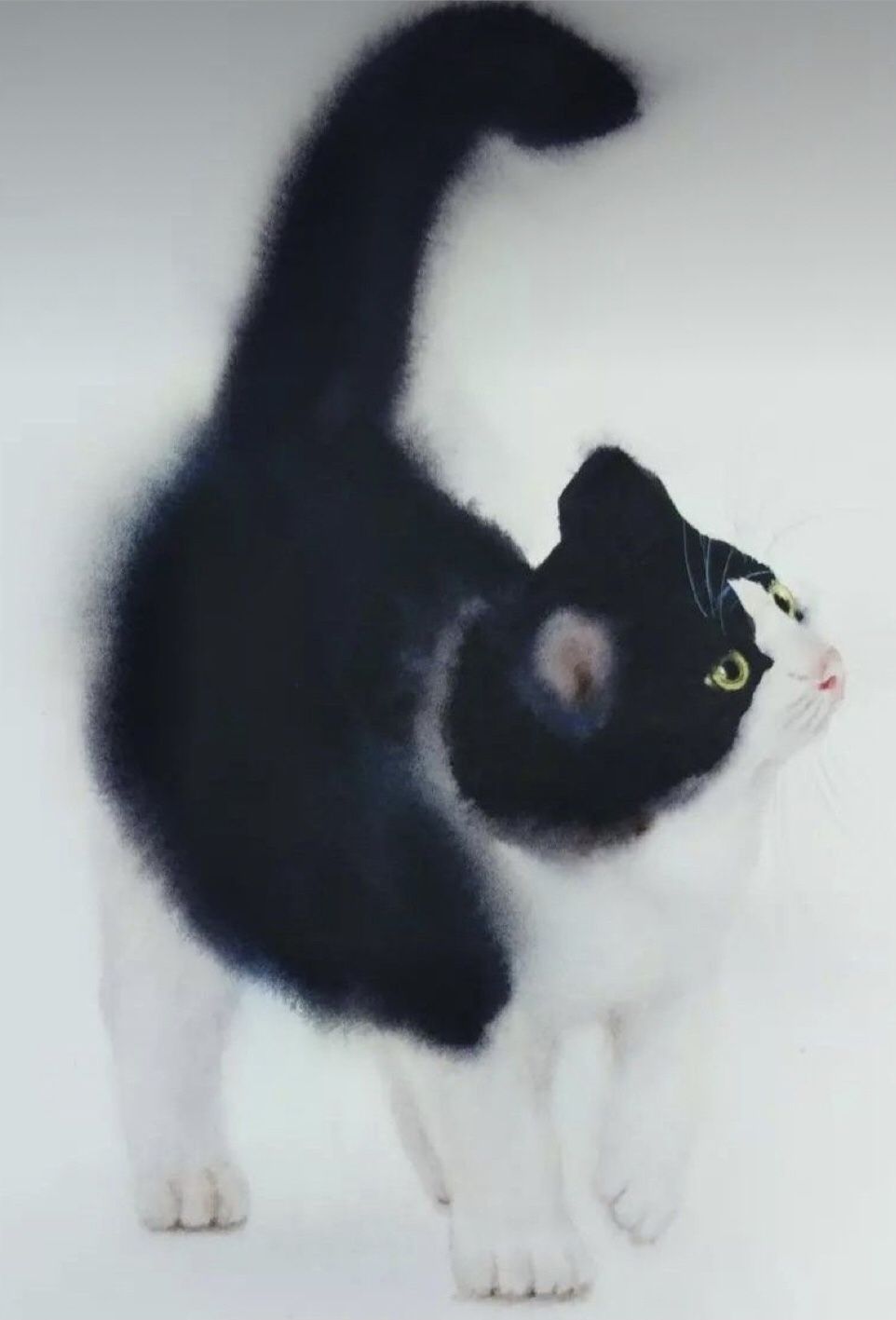 kitten playing with a flower
