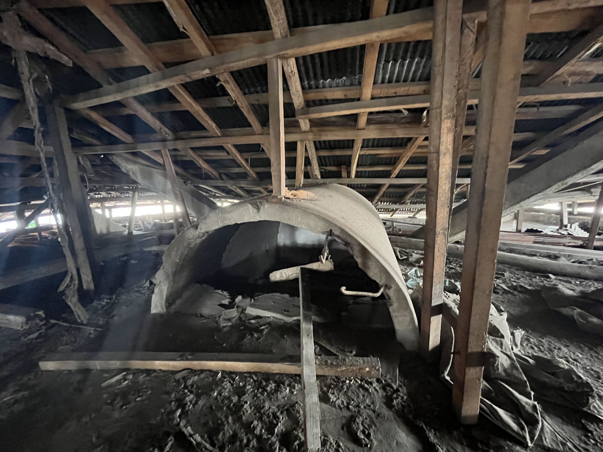 a cat's shelter under the roof, his prized items and collections 