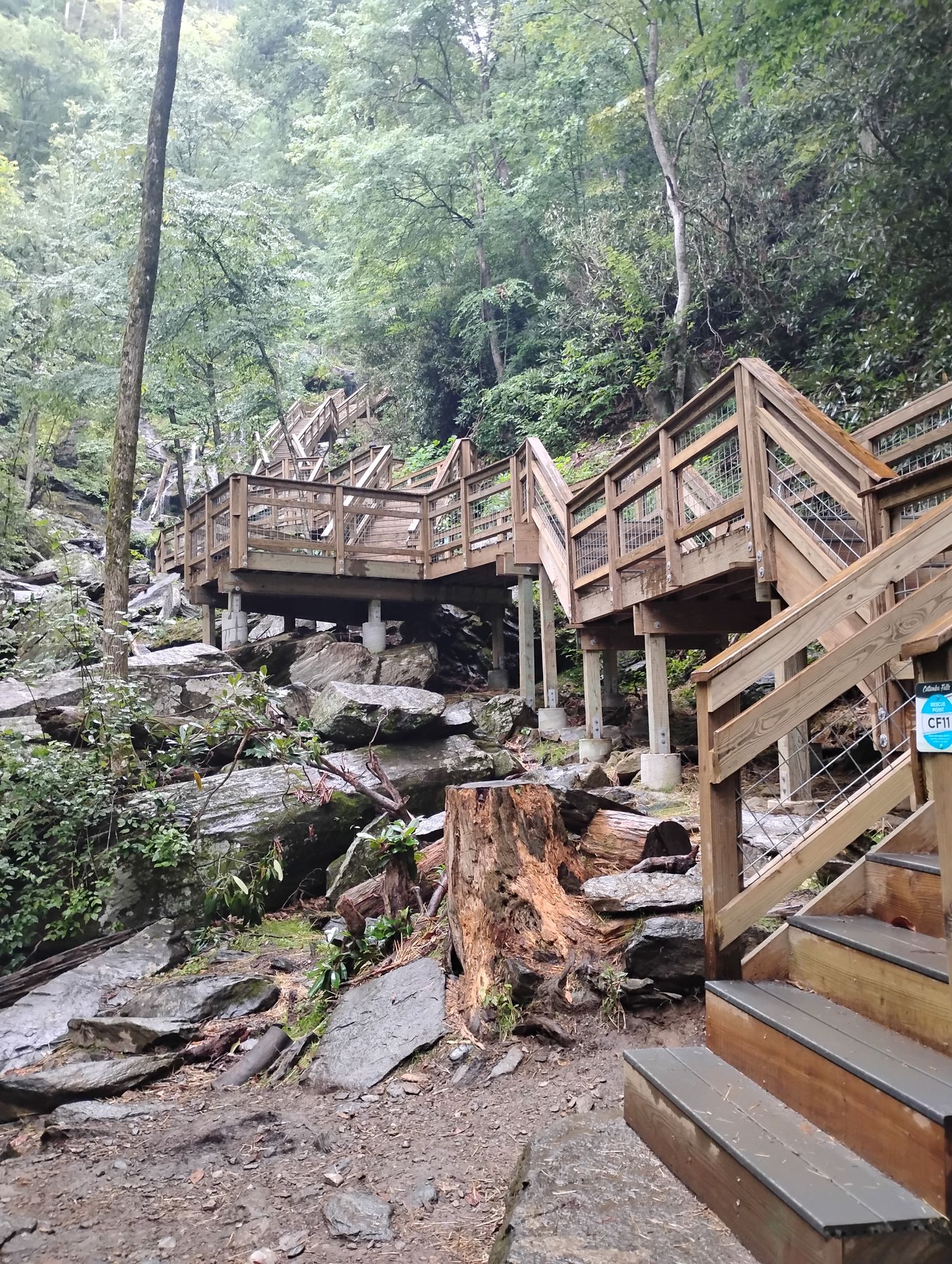 A beautiful photo realistic excellently fine detailed 8k resolution scenery of a wooden walkway made in the forest, alongside water and rock...