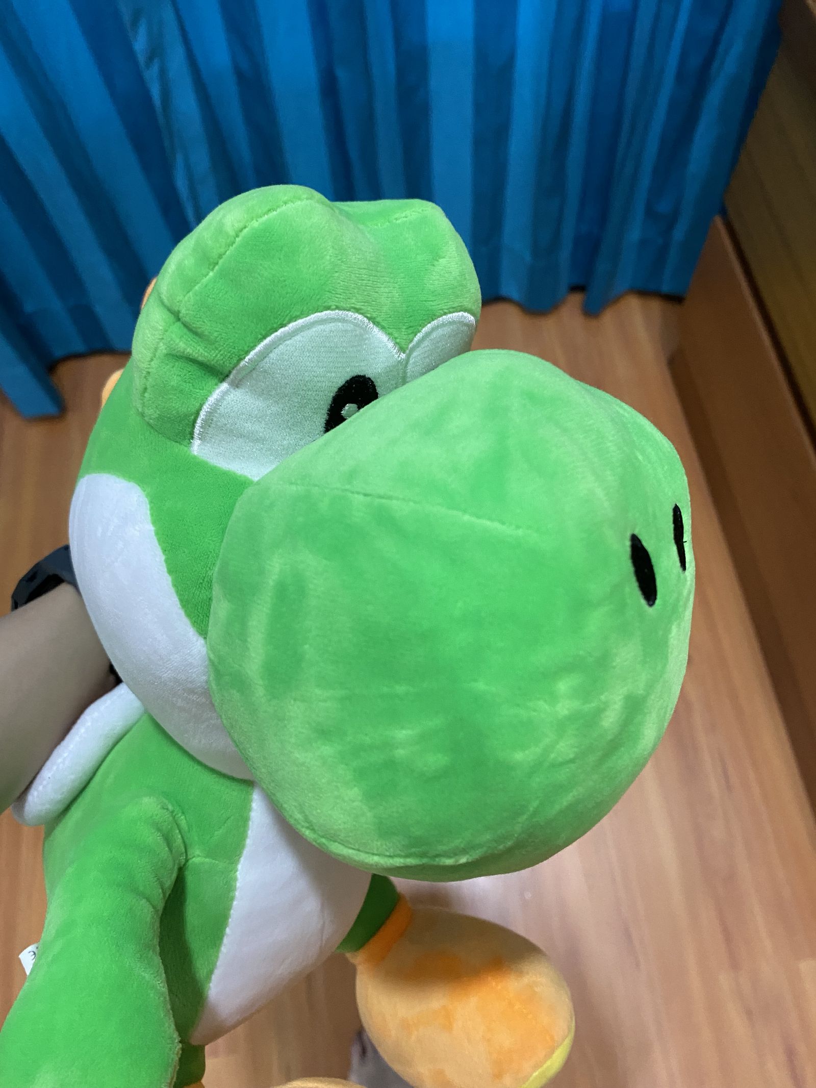 Yoshi fan