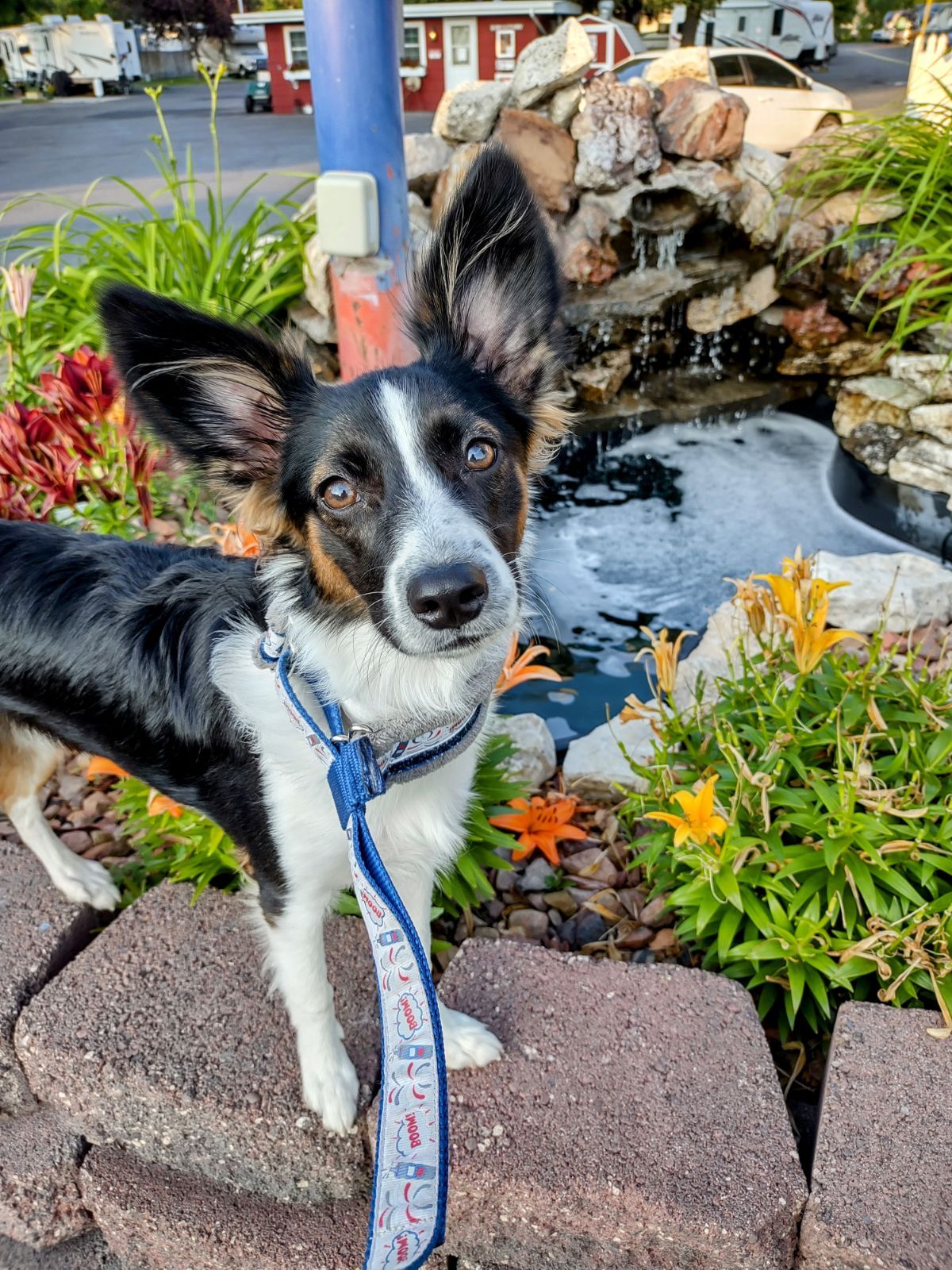 intricate calligraphy ink painting of a dog in a garden, particles, stylized art by Frida kahlo, Diego Rivera, artstation award-winning prof...