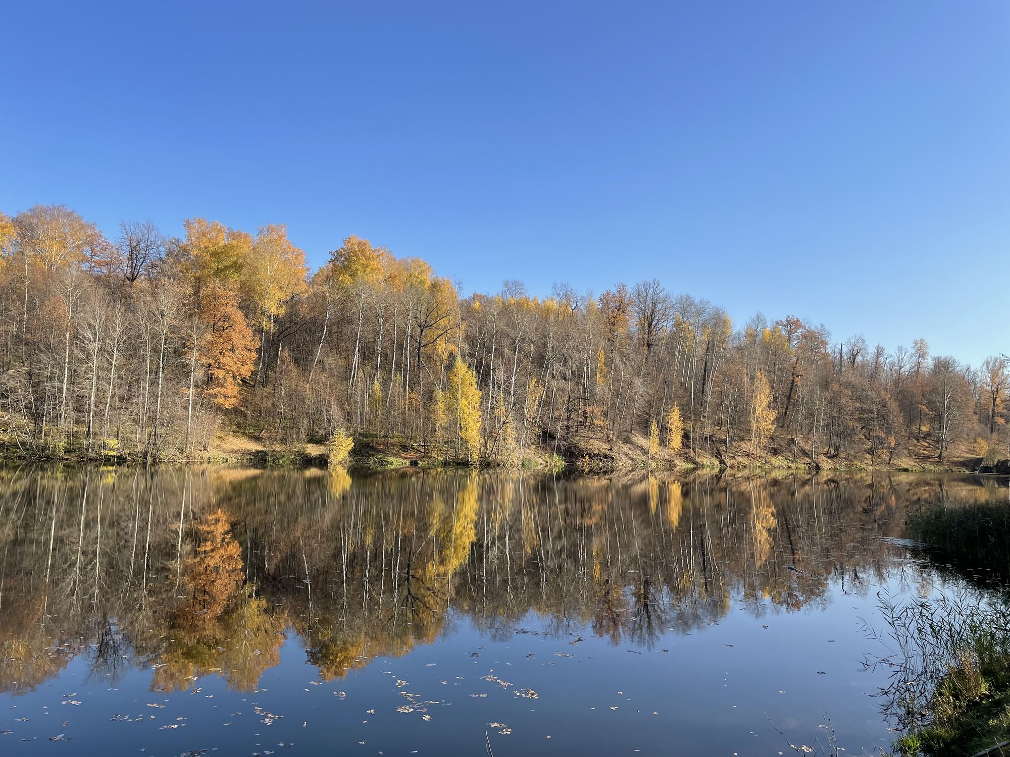 The charm of autumn detailed matte painting, deep color, fantastical, intricate detail, splash screen, complementary colors, fantasy concept...