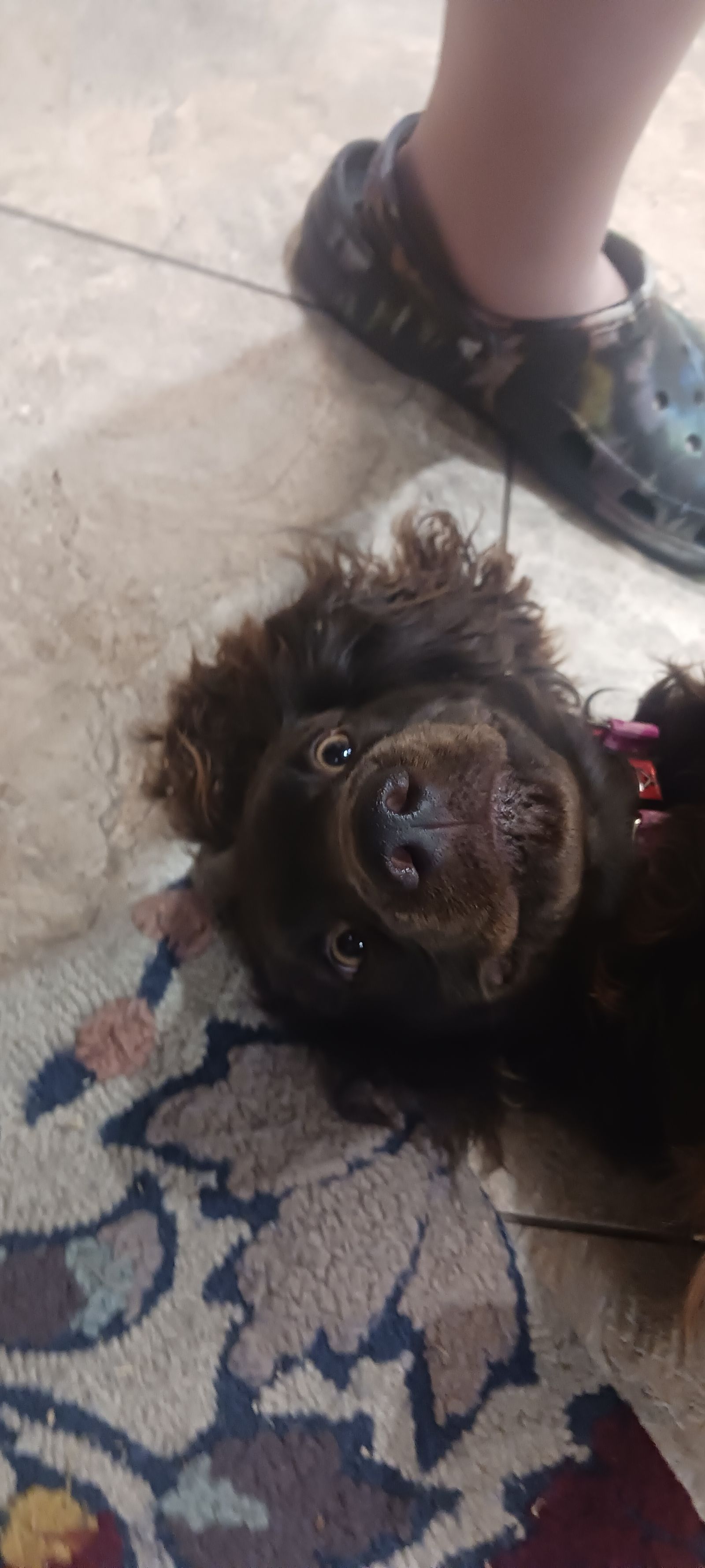 Old Colony Creations