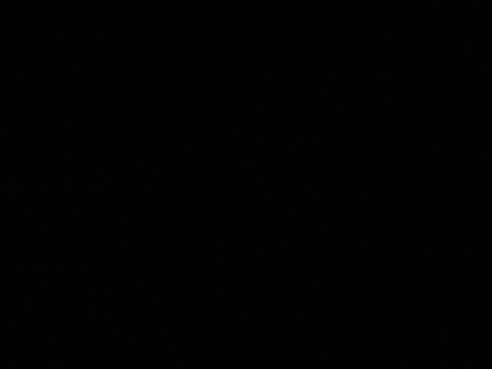 Spooky scary skeletons 