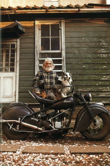 Knights mounted on steel horses