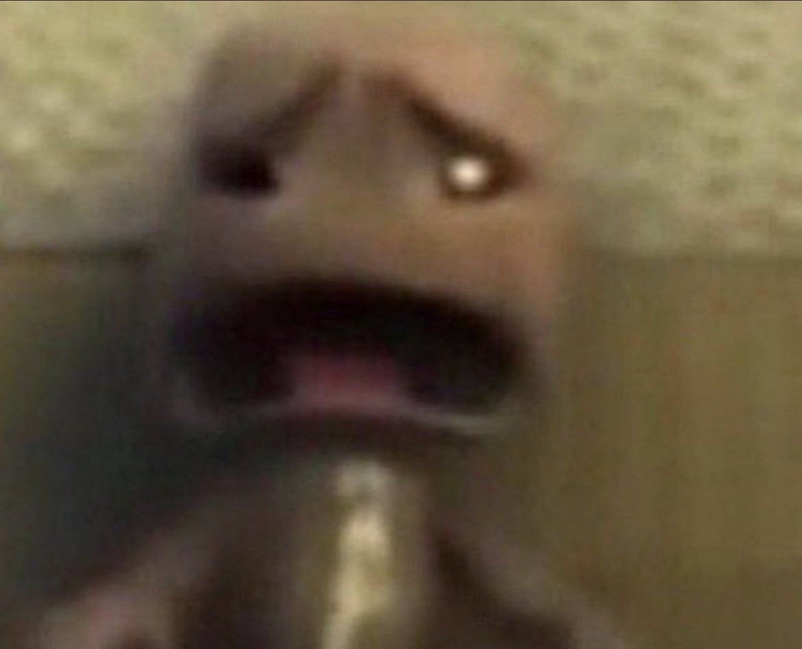 NotYourAveragePanini