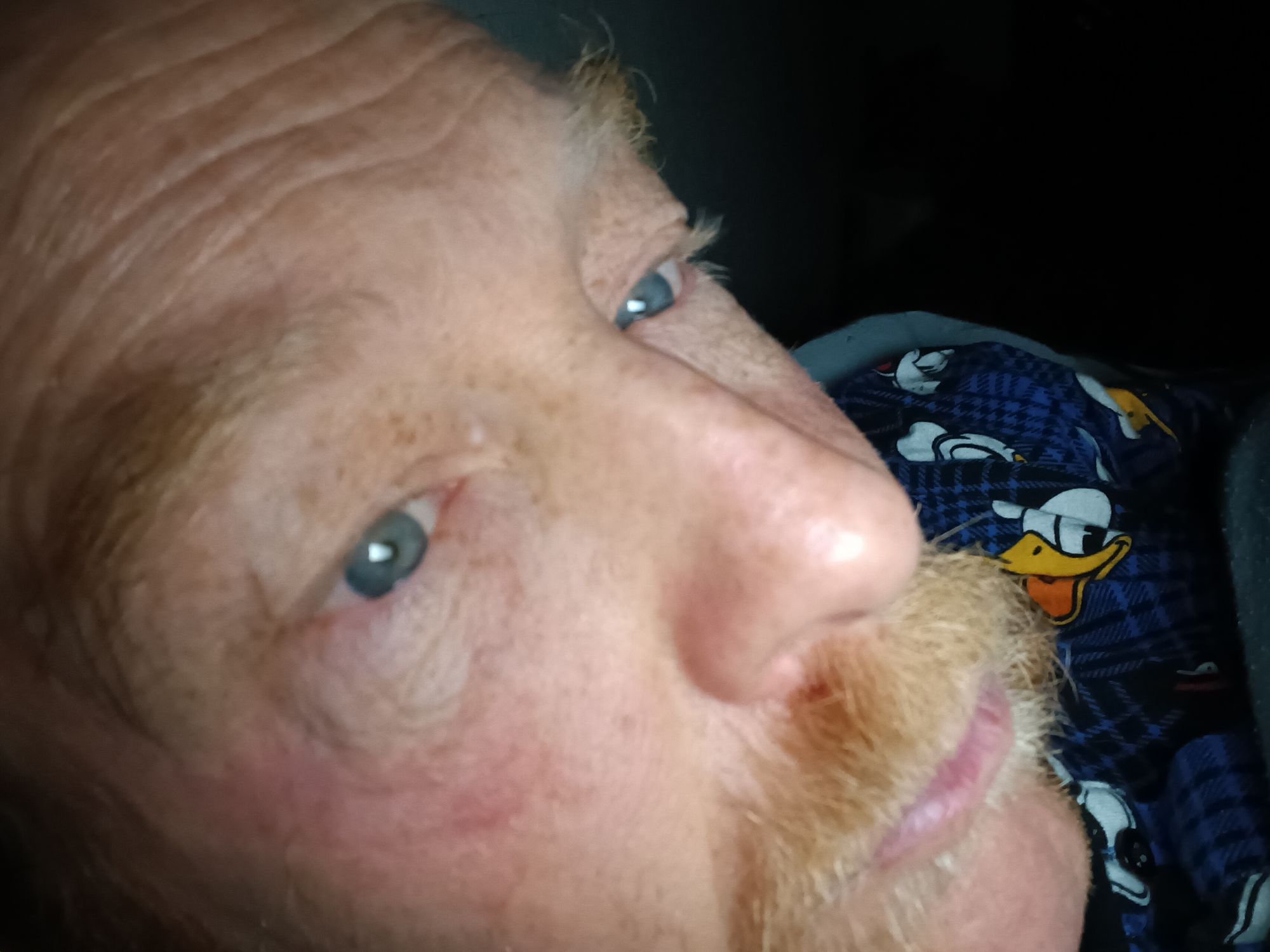 Image uploaded by user