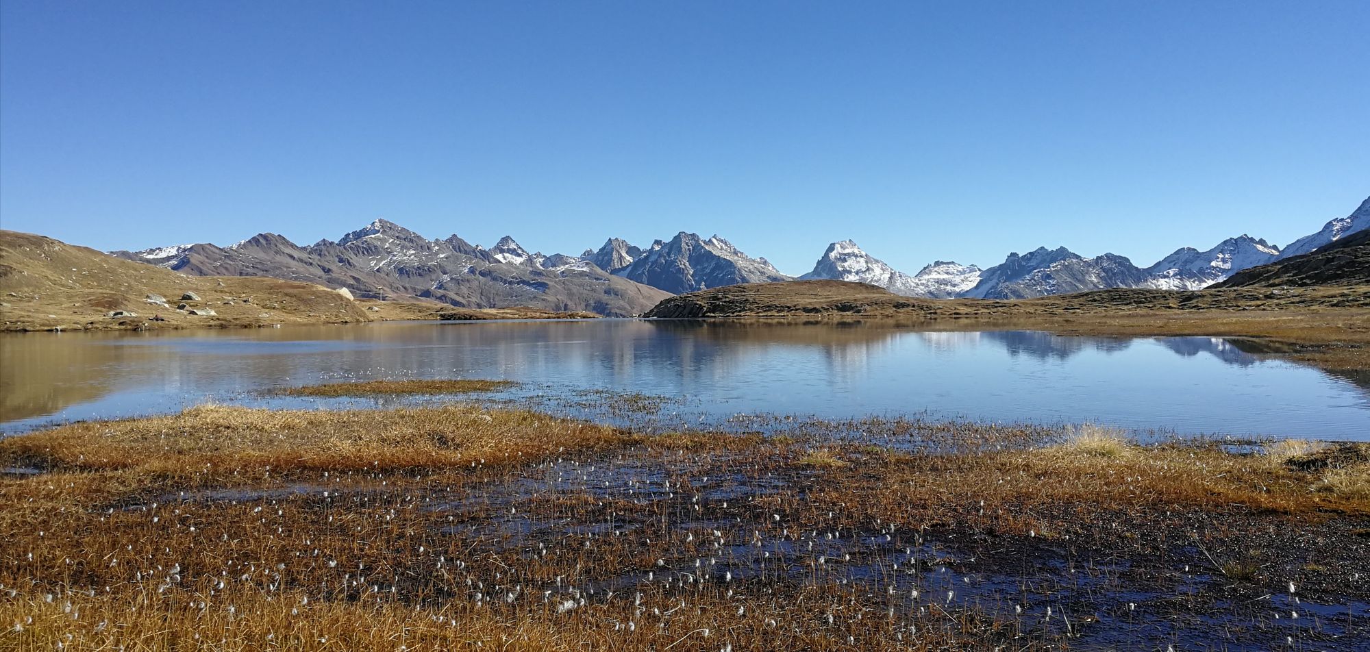 nighttime with starry sky
