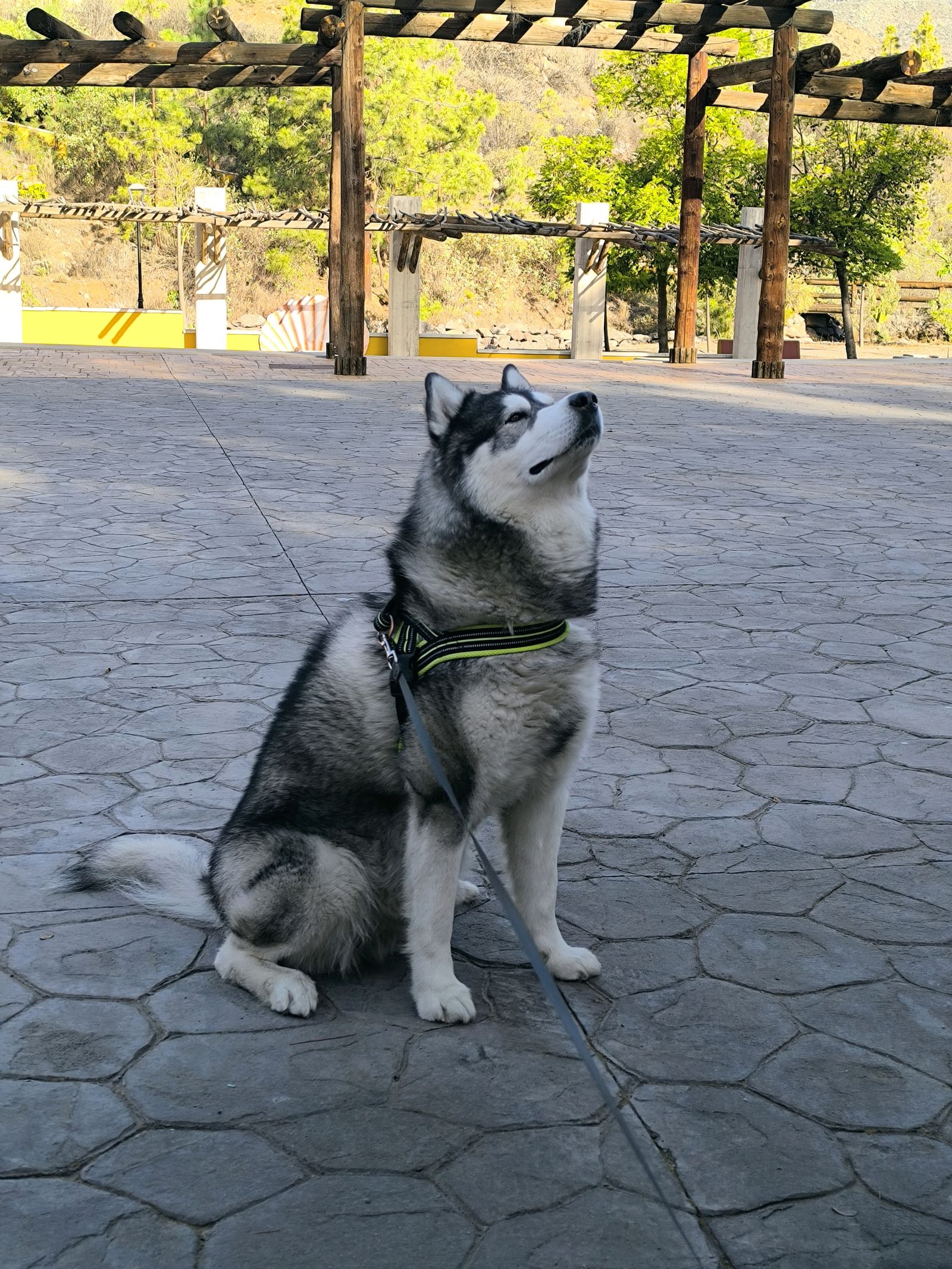 Ekaterina Kondratova