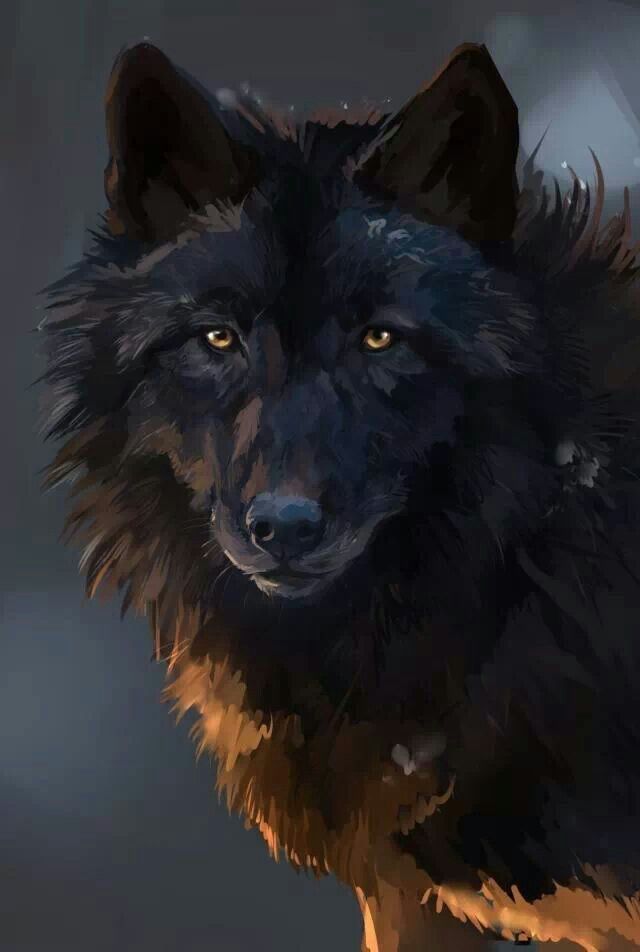 StarWolfTDB