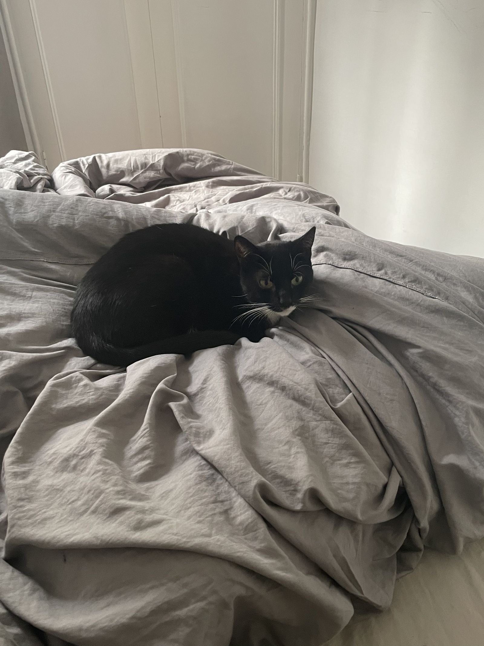 Miminebebe