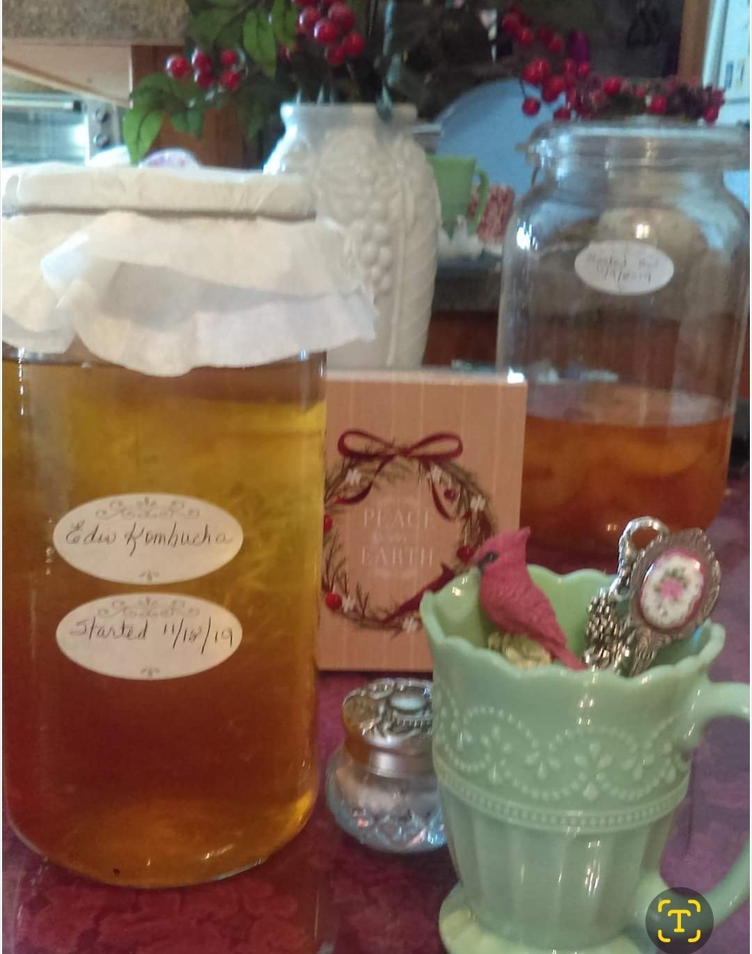 My homemade kombucha 