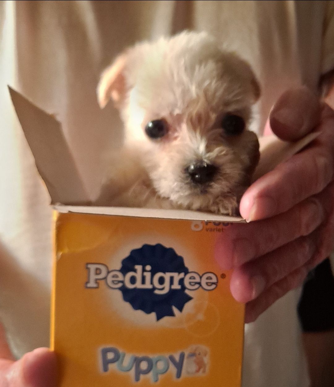 Cuteness overload !!!