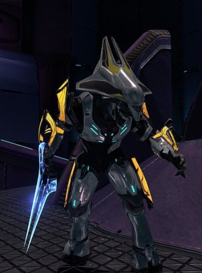 Elite Honor Guard of the Covenant 
