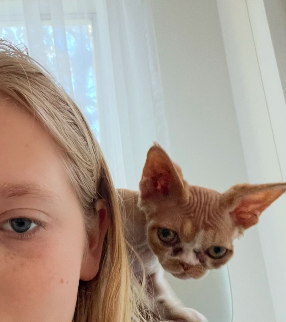 Dasha