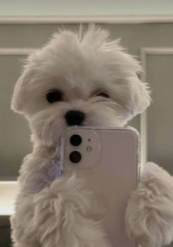 PrincessLina_PuppyLover