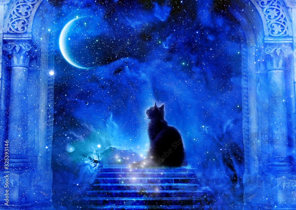 NightShade