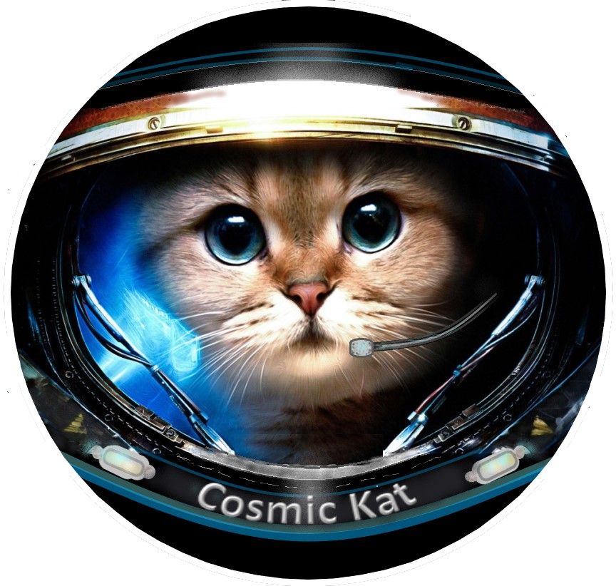 CosmicKat