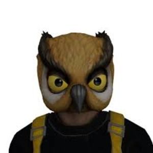 OwlDusty