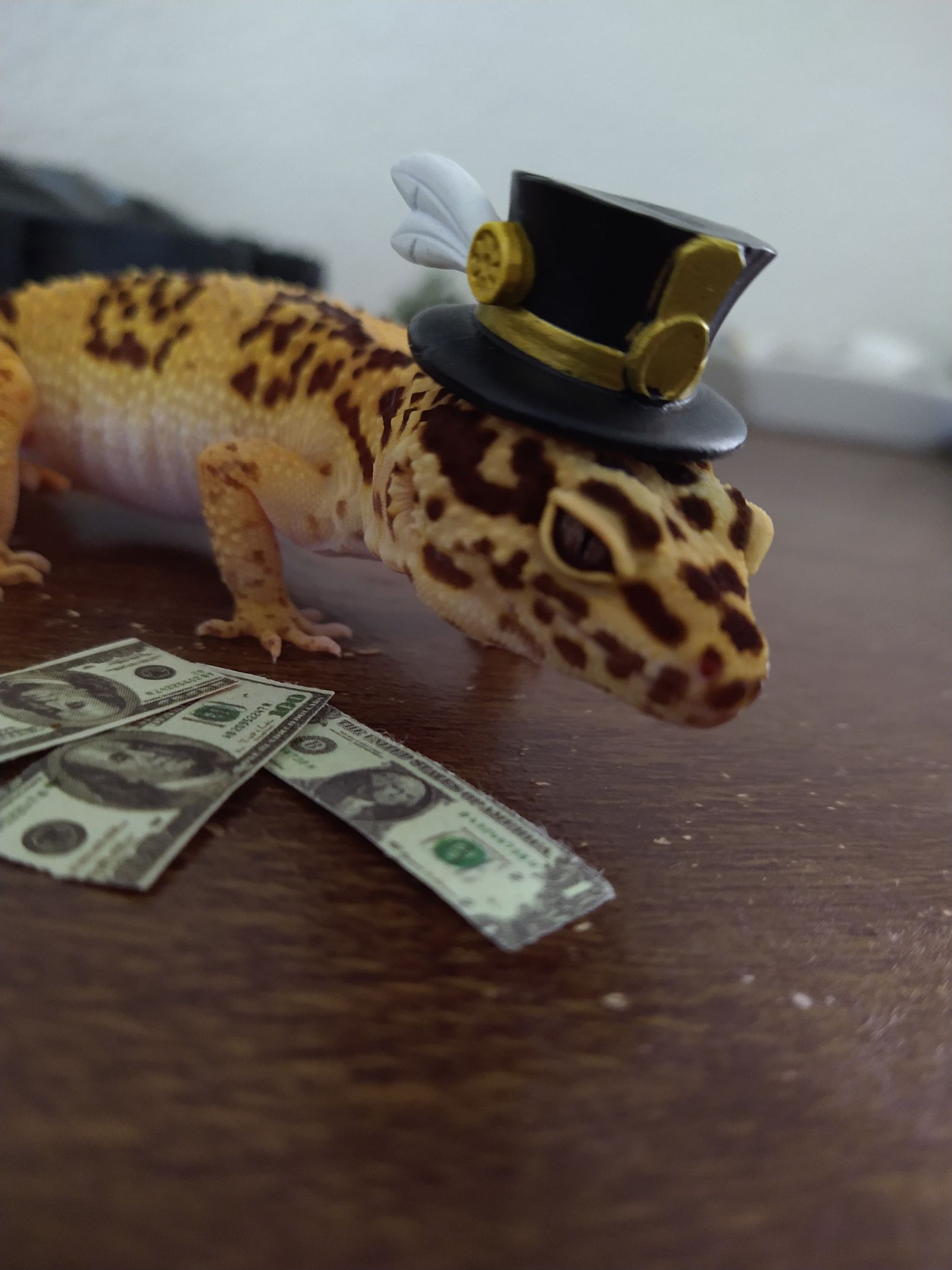 Gecko Gamer