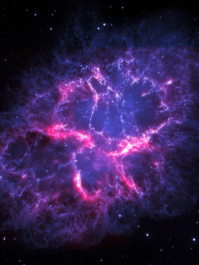 Image uploaded by user