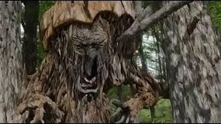 🌳🍃 Mesmerizing Rotten Tree Monster: A Hyper-Realistic Vision of Human Adaptations 🌌🔬👨‍⚕️💡

,


Professional photography, bokeh, natura...