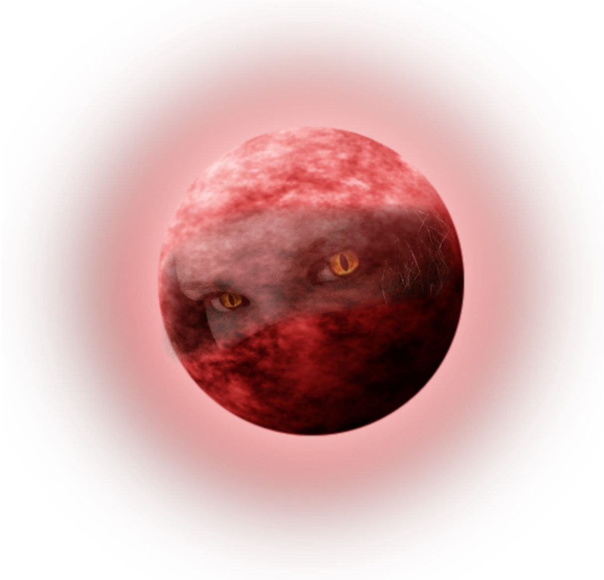 KitWulf