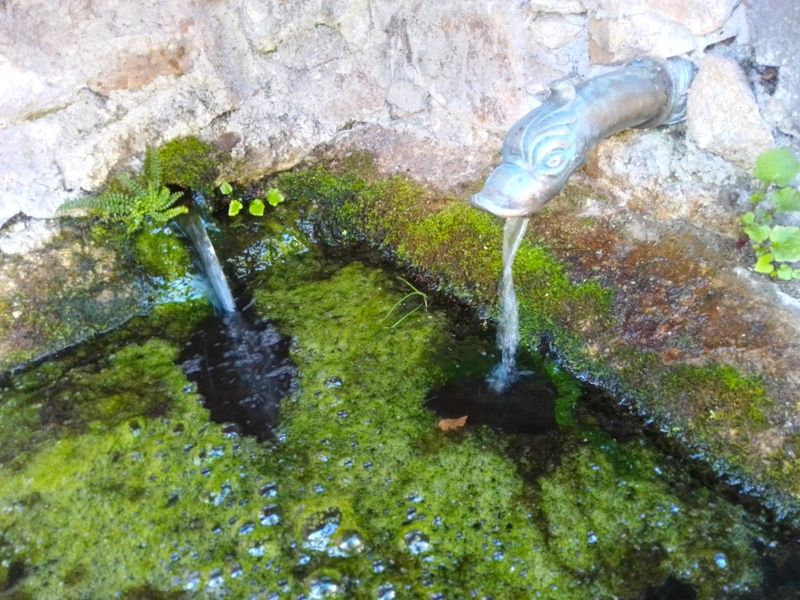 Poème de Paul Eluard
Je te cherche par-delà l'attente
Par-delà moi-même Et je ne sais plus tant je t'aime Lequel de nous deux est absent