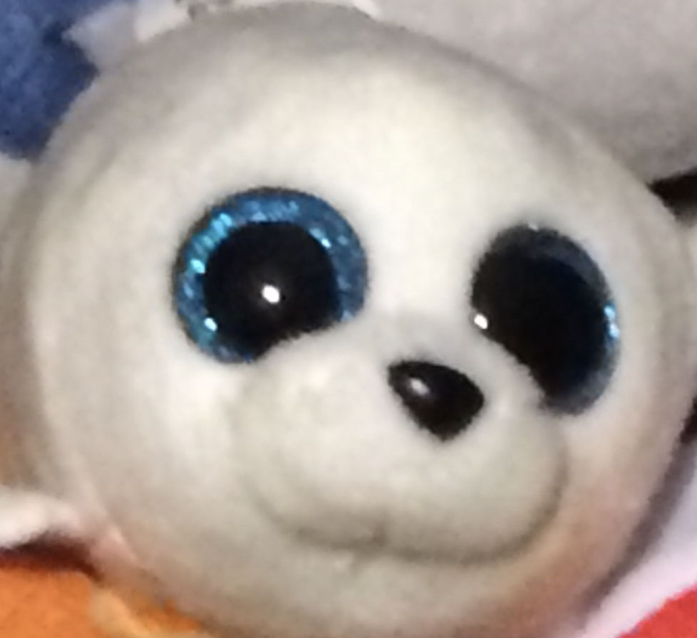 Pigoo