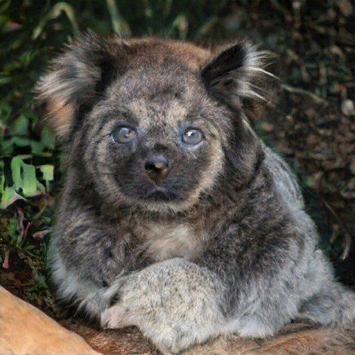 concoctions of jibberish