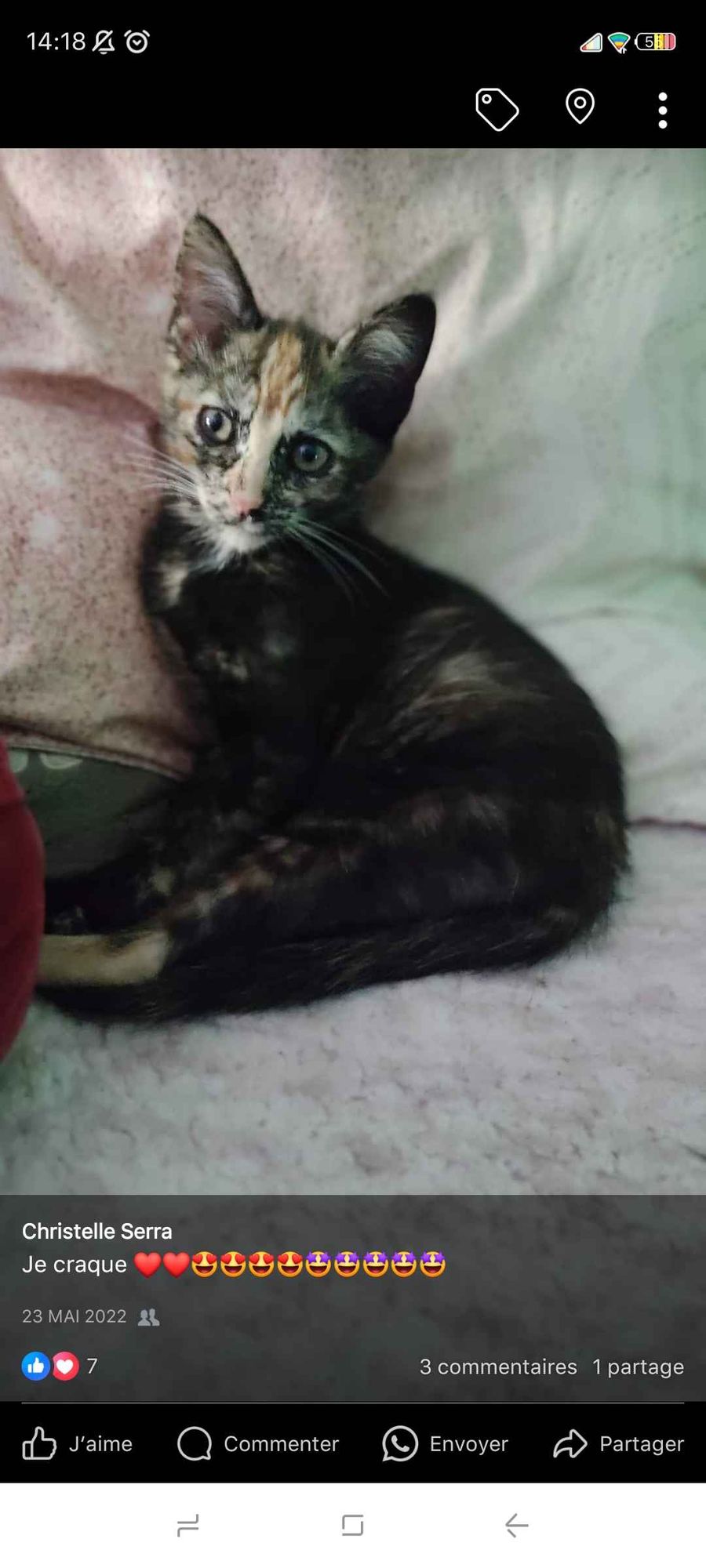 Subject looks cute and determined! Smirking and adorable. Pastels Studio Ghibli, Anime Key Visual, by Makoto Shinkai, Deep Color, Intricate,...