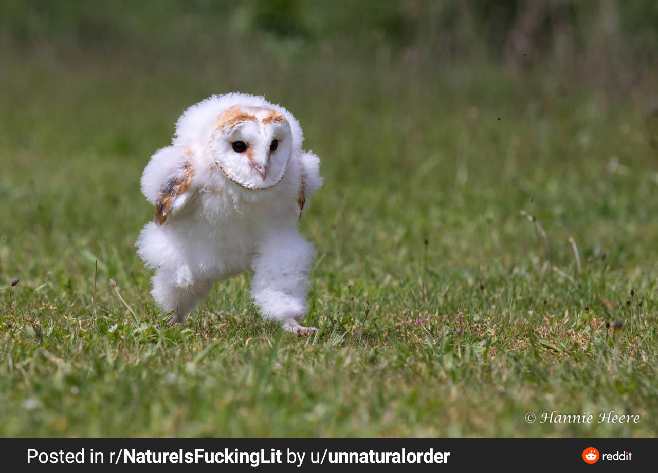 Littlebigboysadventurea1200