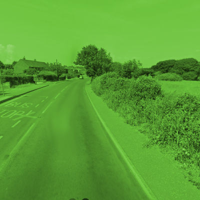 Tree that resembles a mushroom.