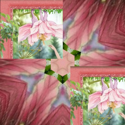 Growing Lollipop Plants