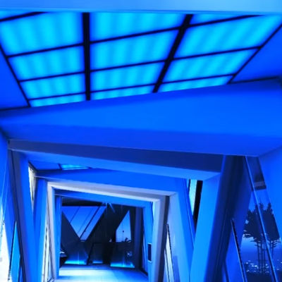 Grab yourself some Blueberry Shard in the forest my friend