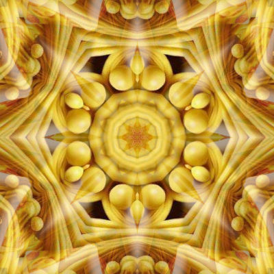 Just a Jar of Dandelion Puffs