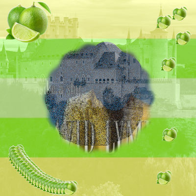 Tower of Pisa Book Cover