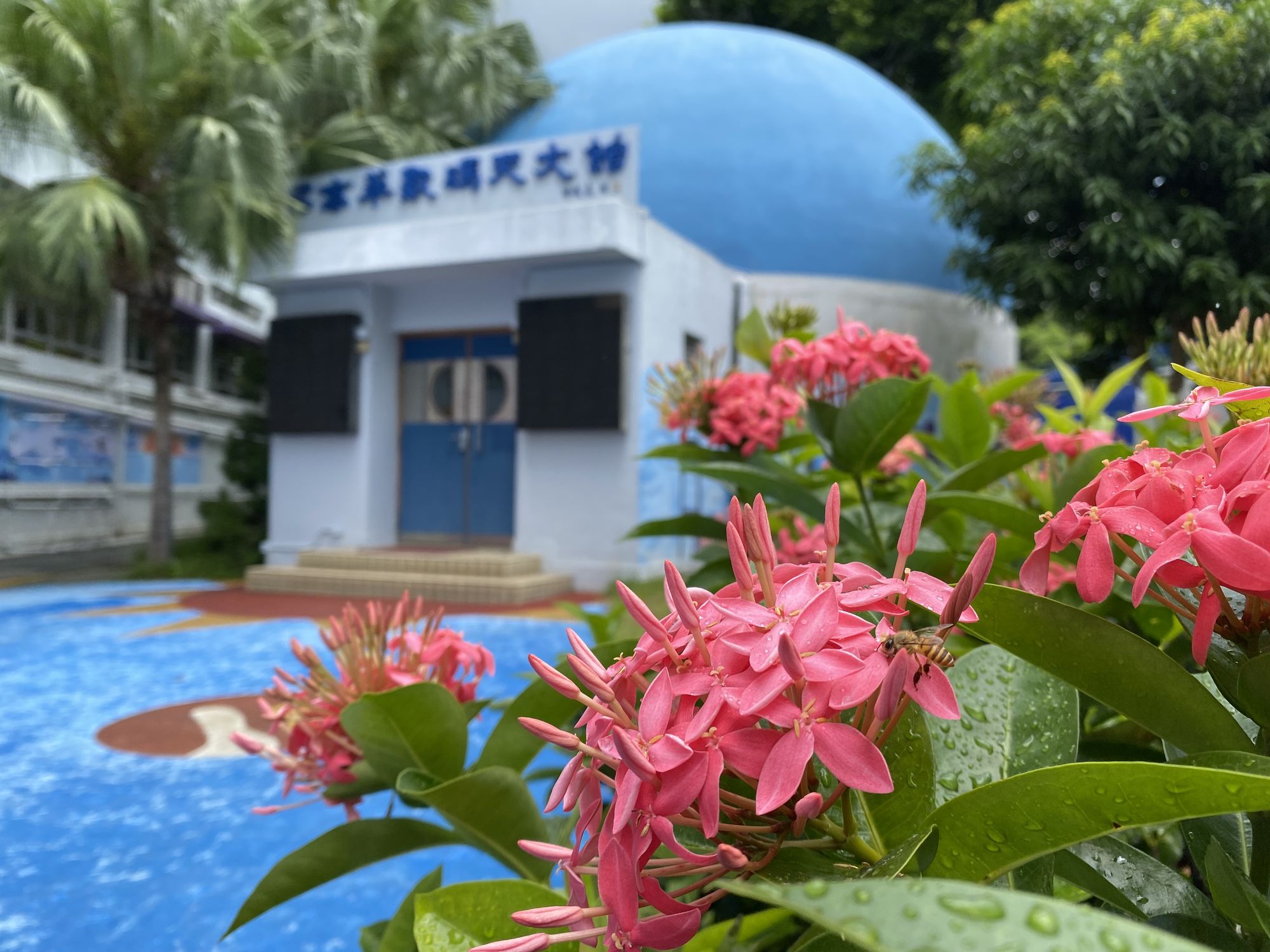 Image uploaded by user