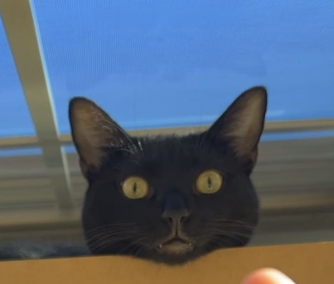 tt