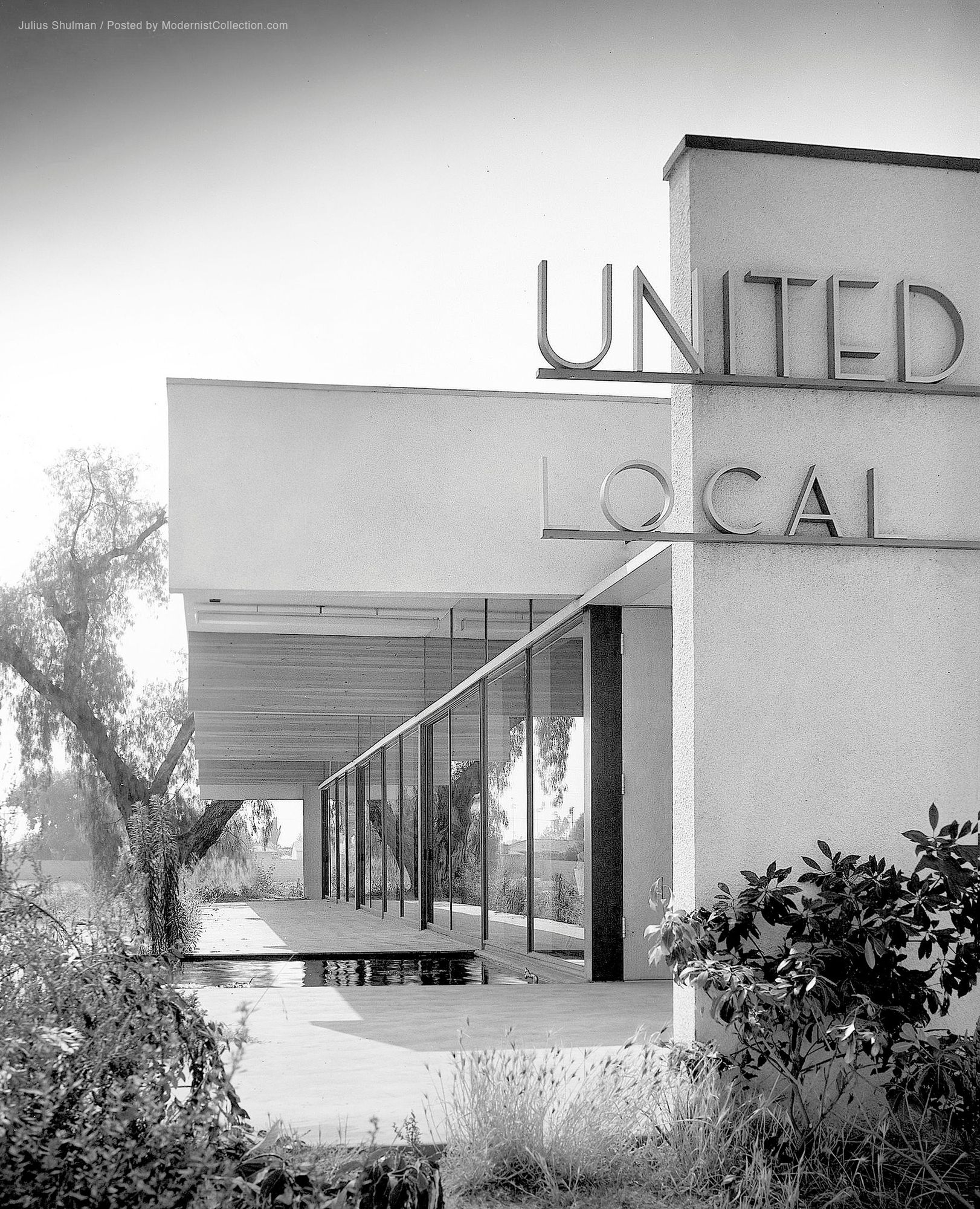 Singularity Loop Donut 56