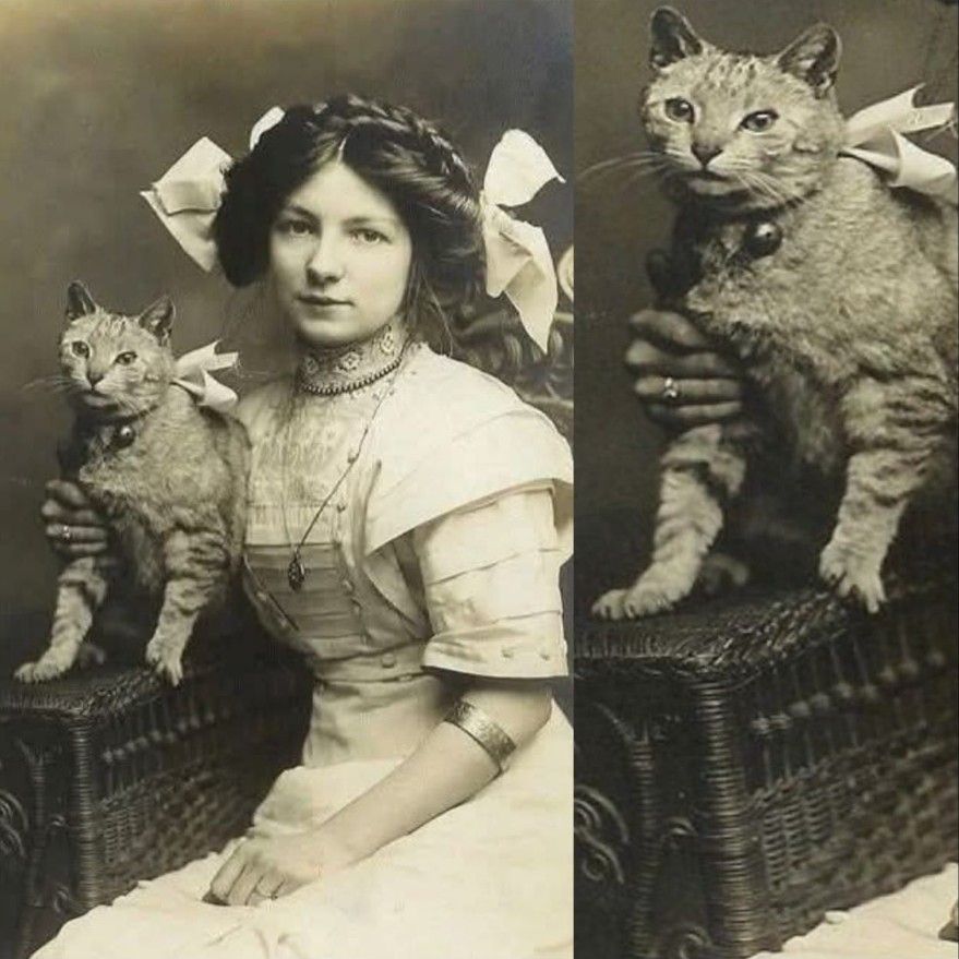 Appointment in Cydonia 15